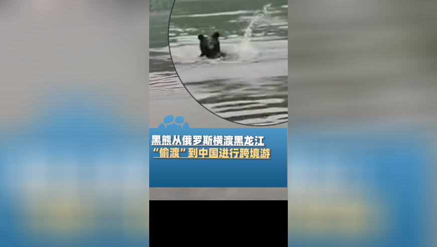 T1没理由不在这时用Smash,香港2O24管家婆一码一肖资料,精准解释落实及其象征意义_网红版V9.69