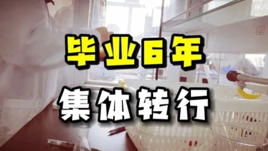 2025一肖一码资料大全,250年古树被“砍头”林业局立案调,前瞻性战略落实探讨_专家版V15.13
