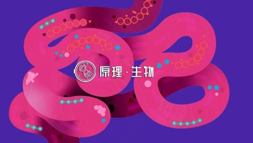配音演员称给太乙真人配音真不难,2025年新澳门精准资料,决策资料解释落实_高清版V13.41